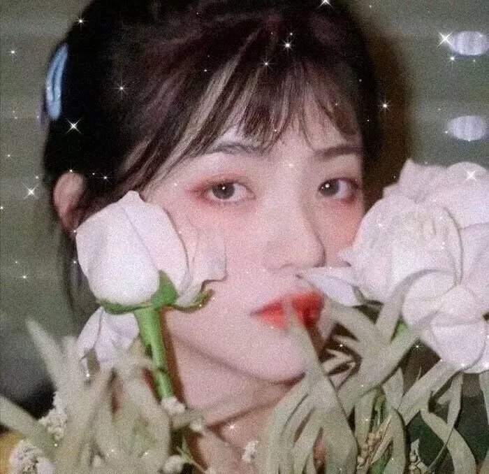 移情高手